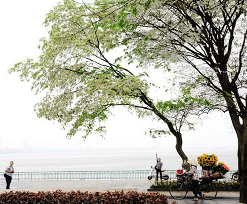 5 địa điểm tuyệt vời cho c&aacute;c "ph&oacute; nh&aacute;y"